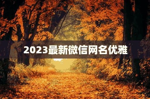 2023最新微信网名优雅(2028微信网名)